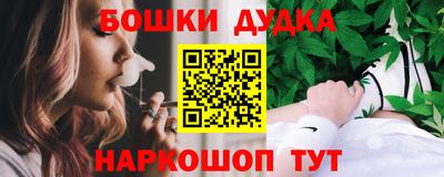 apvp Новодвинск