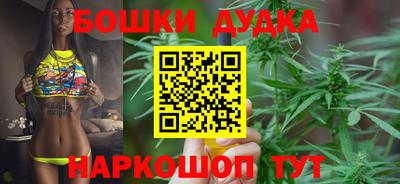 apvp Новодвинск