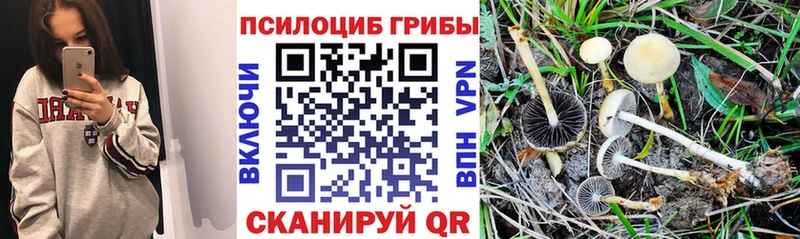 Галлюциногенные грибы GOLDEN TEACHER  Истра 
