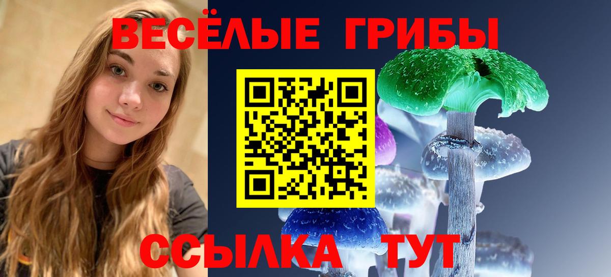 Истра  Псилоцибиновые грибы Cubensis  Вход с VPN 